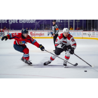 Springfield Thunderbirds forward Drew Callin (left) vs. the Charlotte Checkers