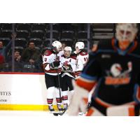 Tucson Roadrunners Assistant Captain Andrew Agozzino congratulated after his goal