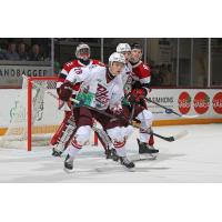 Peterborough Petes left wing Brennan Faulkner sets up in front of the Ottawa 67's goal