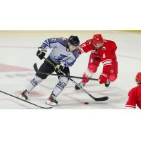 Wichita Thunder in action vs. the Allen Americans