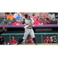 Somerset Patriots infielder Diego Castillo