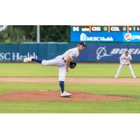 Charleston RiverDogs on the mound
