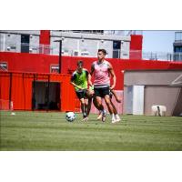 Defender Tate Schmitt in training