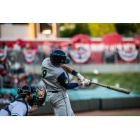 Jake Means of the Columbia Fireflies at bat