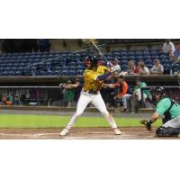 Rome Braves at the plate