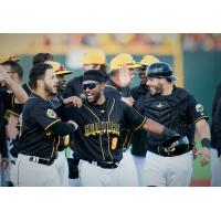 Gastonia Honey Hunters celebrate a win