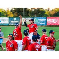 St. Cloud Rox exchange high fives between innings