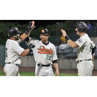 Long Island Ducks celebrate Rey Fuentes' homer