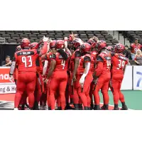 Jacksonville Sharks huddle