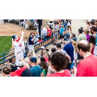 St. Cloud Rox mascot Chisel leads the cheers