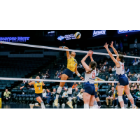 San Diego Mojo middle blocker Ronika Stone
