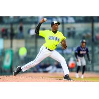 Columbia Fireflies pitcher Ismael Michel