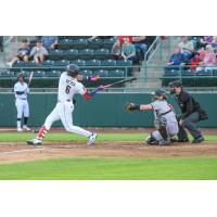 Tri-City Dust Devils shortstop Arol Vera