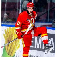 Matyas Melovsky of the Baie-Comeau Drakkar