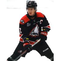 Alex Carr of the Rouyn-Noranda Huskies